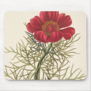 Mousepad Paeony com folhas fino