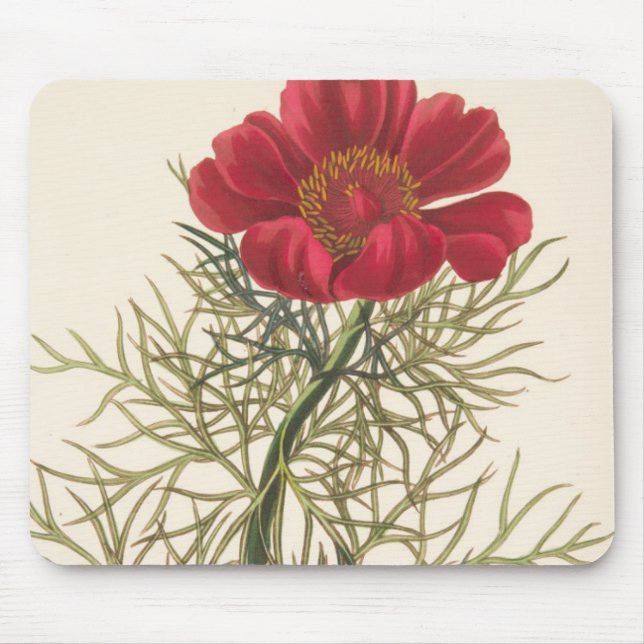 Mousepad Paeony com folhas fino (Frente)
