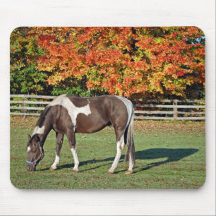 Mousepad Paint Horse em pastagem
