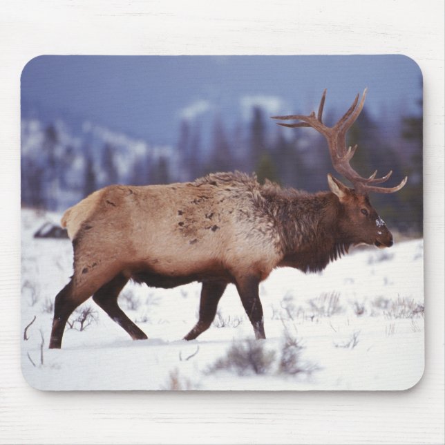 Mousepad País de destino (Frente)