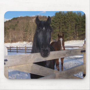 MOUSEPAD PAÍS DO CAVALO