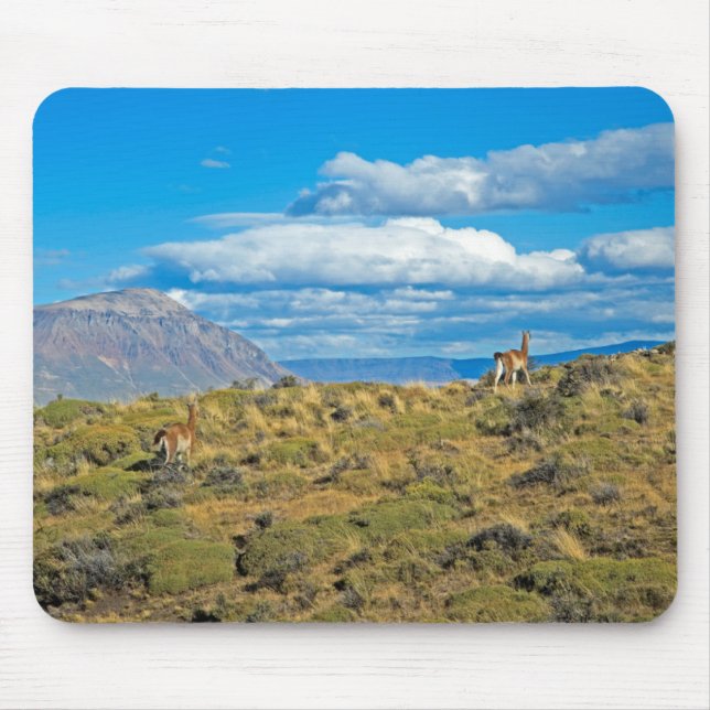 Mousepad País do Guanaco, Patagonia (Frente)