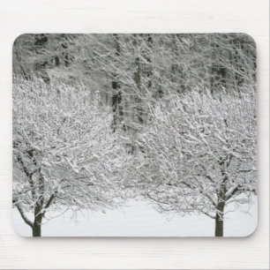 Mousepad Paisagem coberto de neve