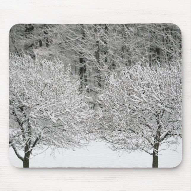 Mousepad Paisagem coberto de neve (Frente)