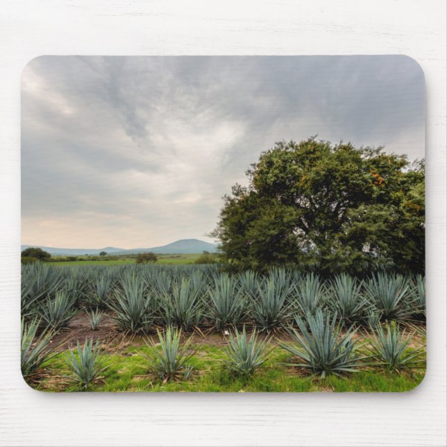 Mousepad Paisagem com agave azul (Frente)