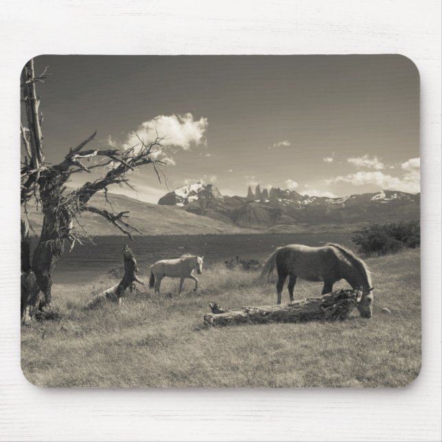 Mousepad Paisagem com cavalos (Frente)