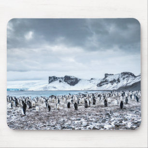 Mousepad Paisagem da colônia do pinguim de Chinstrap