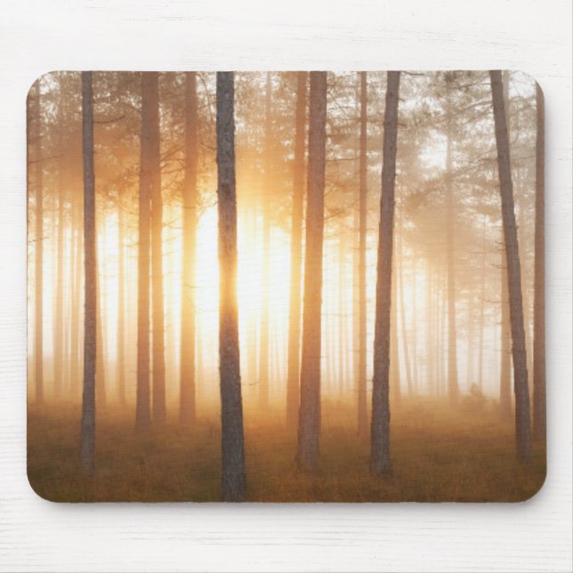 Mousepad Paisagem da floresta do pinho (Frente)