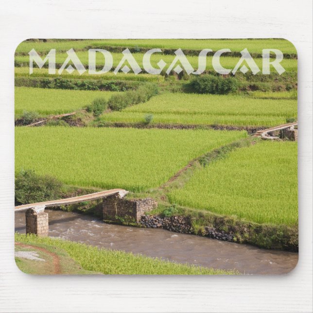 Mousepad Paisagem de arrozals à Madagáscar (Frente)