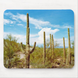 Mousepad paisagem de cactus