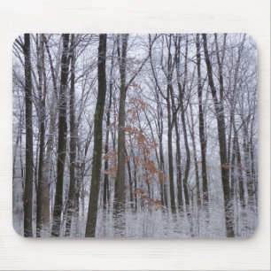 Mousepad Paisagem de inverno na Floresta de Neve Dusted Fot