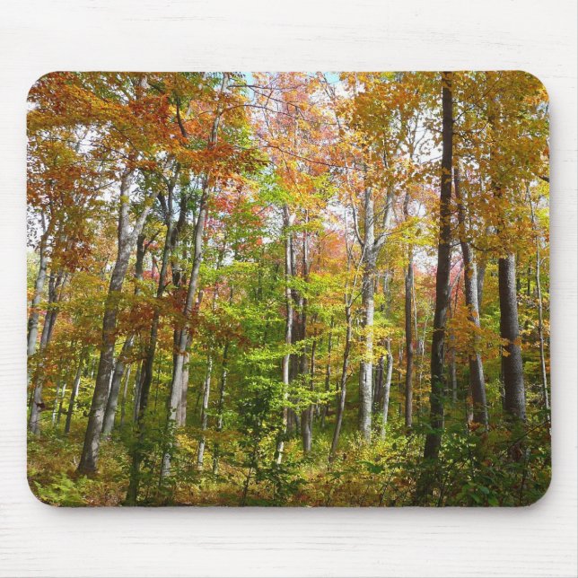 Mousepad Paisagem de outono de Floresta II (Frente)