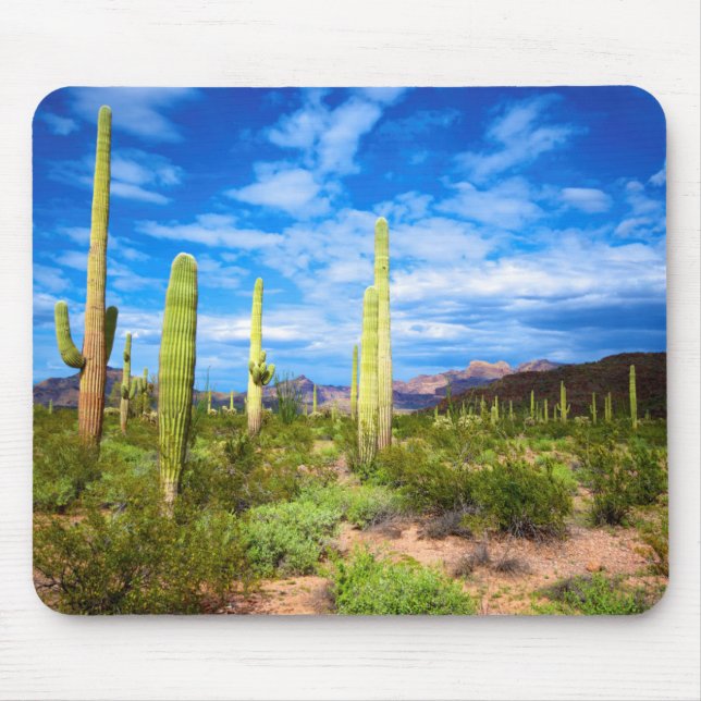 Mousepad Paisagem do cacto do deserto, Arizona (Frente)