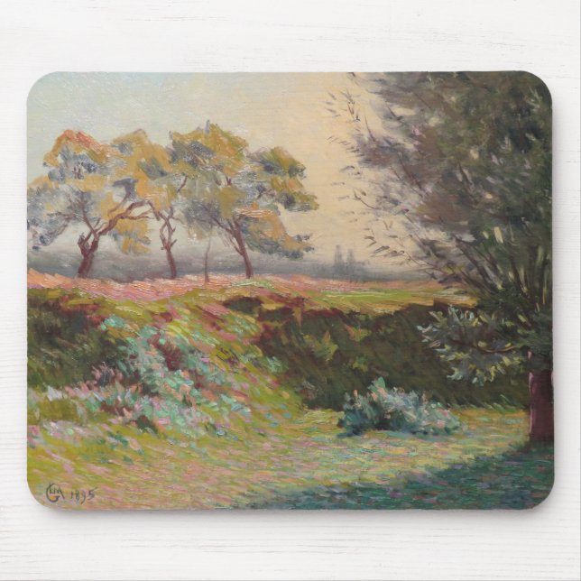 Mousepad Paisagem do País (por Léo Gausson) (Frente)