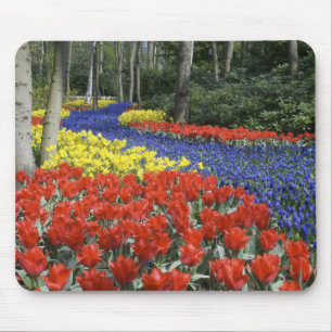 Mousepad Países Baixos, Holanda, Lisse, Keukenhof Gardens