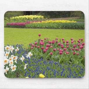 Mousepad Países Baixos (também conhecido como Holanda), Lis