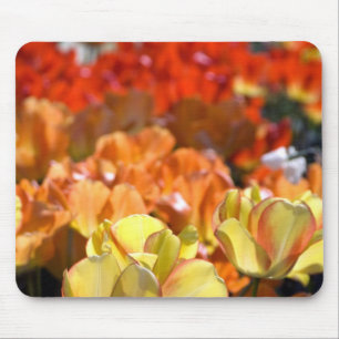Mousepad Países Baixos (também conhecido como Holanda), Lis