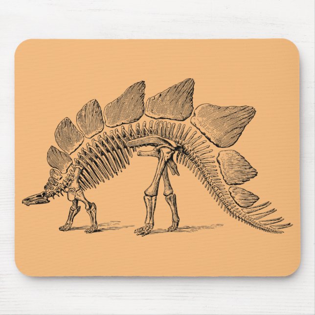 Mousepad paleontologia fóssil de dinossauro (Frente)