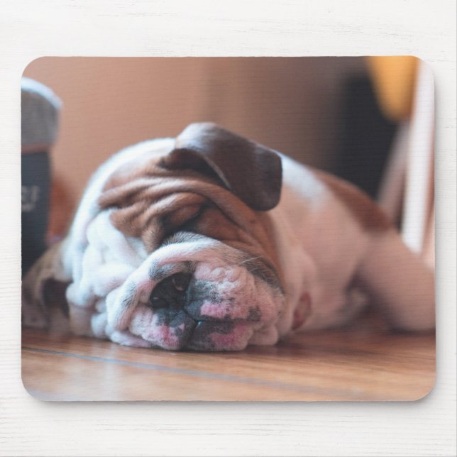 Mousepad Palhaço de Buldogue Dormindo e Puppia Branca (Frente)