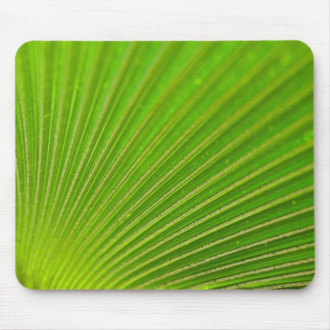 Mousepad Palm Frond Green Pattern (Frente)