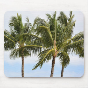 Mousepad Palm Trees em Kauai