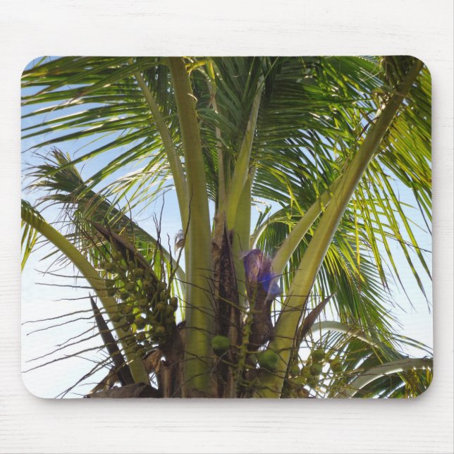 Mousepad Palmas Tropicais (Frente)