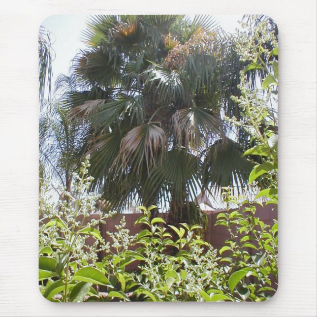 Mousepad Palmeira (Frente)