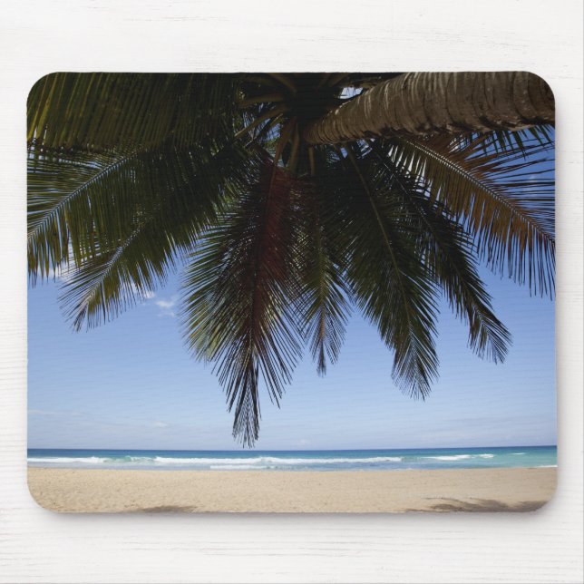 Mousepad Palmeira ao longo do mar de Caribe. (Frente)