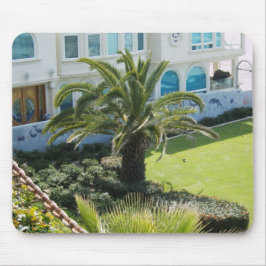 Mousepad Palmeira em Oceanside CA
