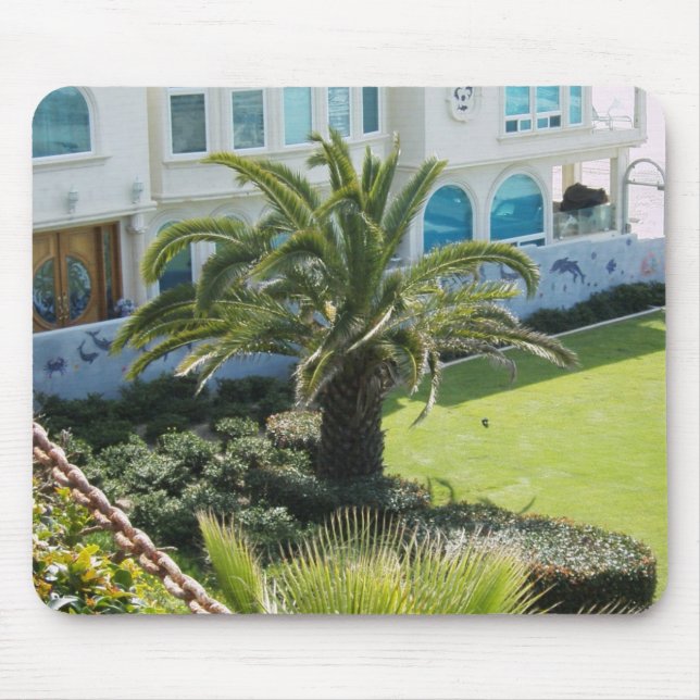 Mousepad Palmeira em Oceanside CA (Frente)