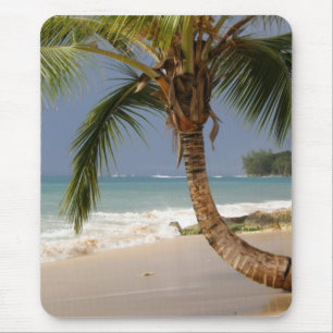Mousepad palmeira exótica na praia