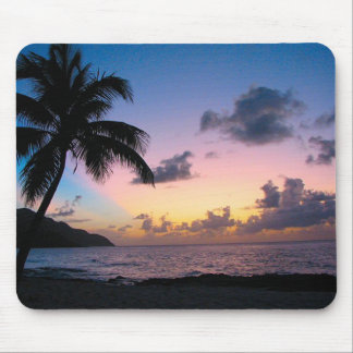 Mousepad Palmeira no por do sol