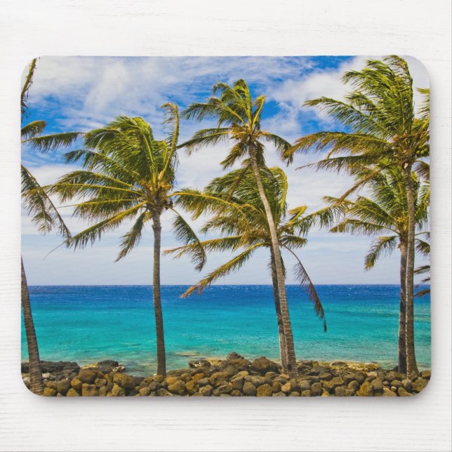 Mousepad Palmeiras de coco (Cocos nucifera) (Frente)