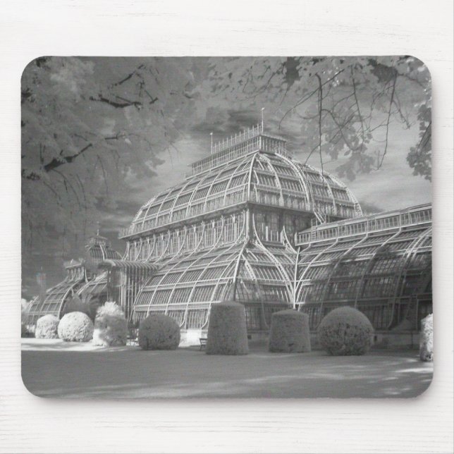 Mousepad Palmenhaus (Frente)