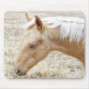 Mousepad Palomino Colt Pony Horse