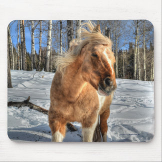 Mousepad Palomino Pinto Cavalo e Neve Joyful