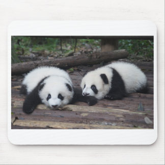 Mousepad Panda