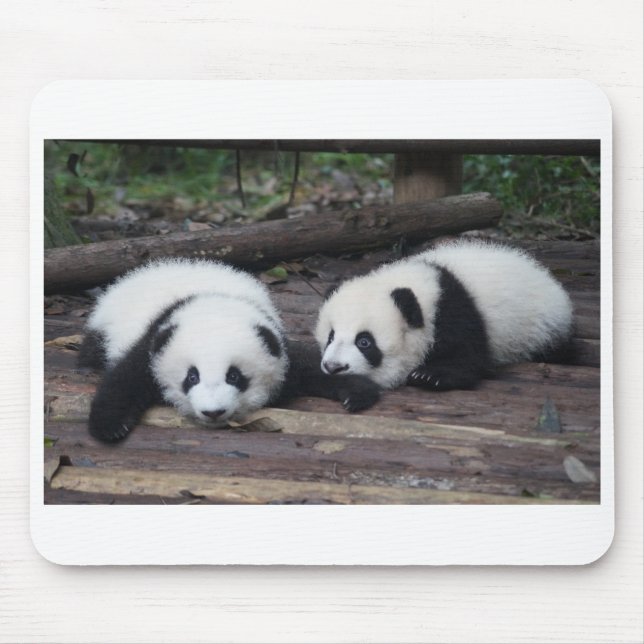 Mousepad Panda (Frente)