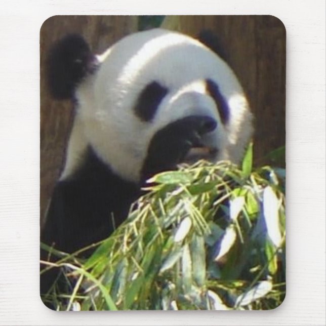 Mousepad Panda (Frente)