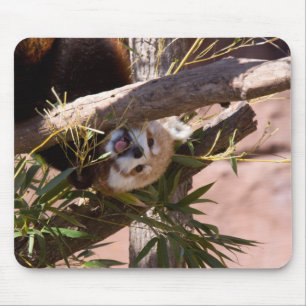 Mousepad Panda2 vermelho