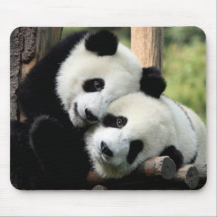Mousepad Panda Bears