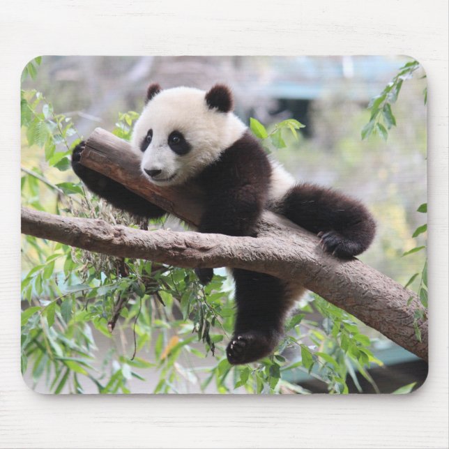 Mousepad Panda Cub (Frente)