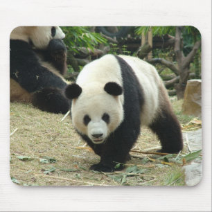 Mousepad Panda gigante