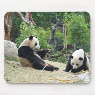 Mousepad Panda gigante