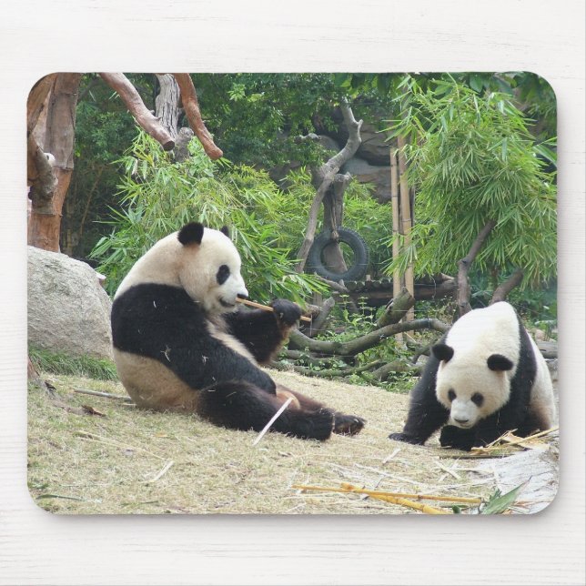Mousepad Panda gigante (Frente)