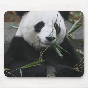 Mousepad Panda gigante