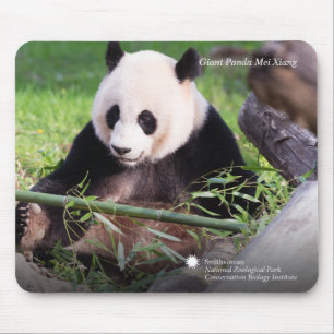 Mousepad Panda gigante Mei Xiang
