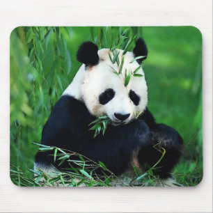 Mousepad Panda que come as folhas