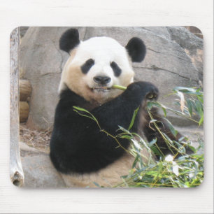 Mousepad Panda Snack