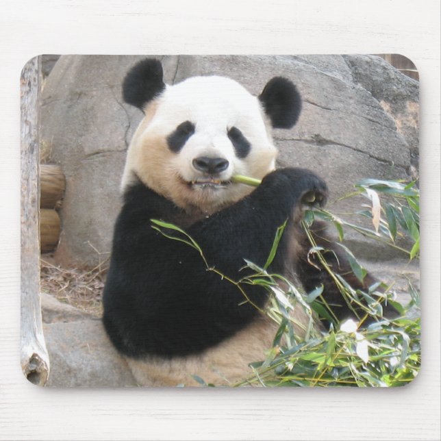 Mousepad Panda Snack (Frente)